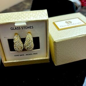 House of Harlow 1960!Glass stone earrings